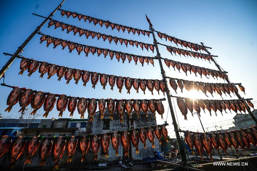 Harvest time of fish starts in E China's Zhejiang