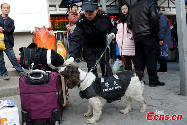 Police canines prep for travel season