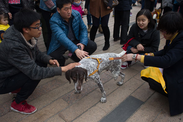 Man's best friends find new homes