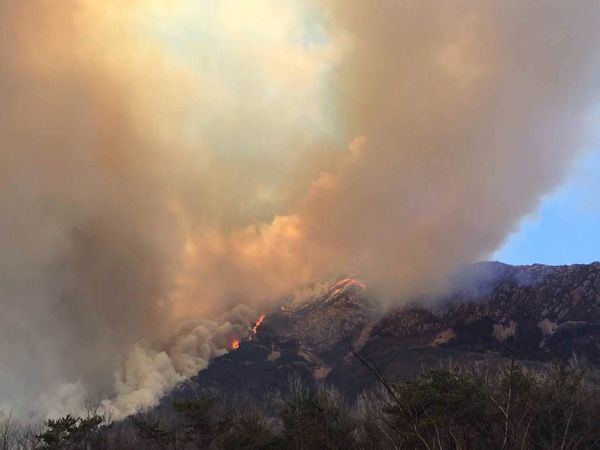 Five climbers die in Northeast China forest fire