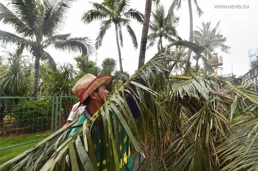 Typhoon Kujira makes landfall in S China