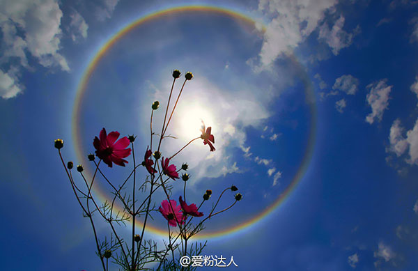 Rainbow solar halo observed in Beijing