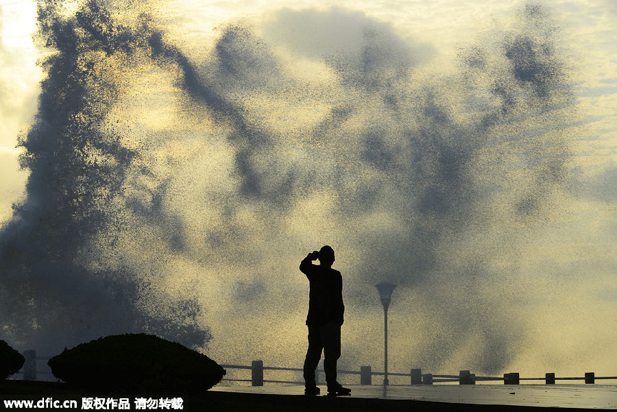 Typhoon leaves death and chaos in its path