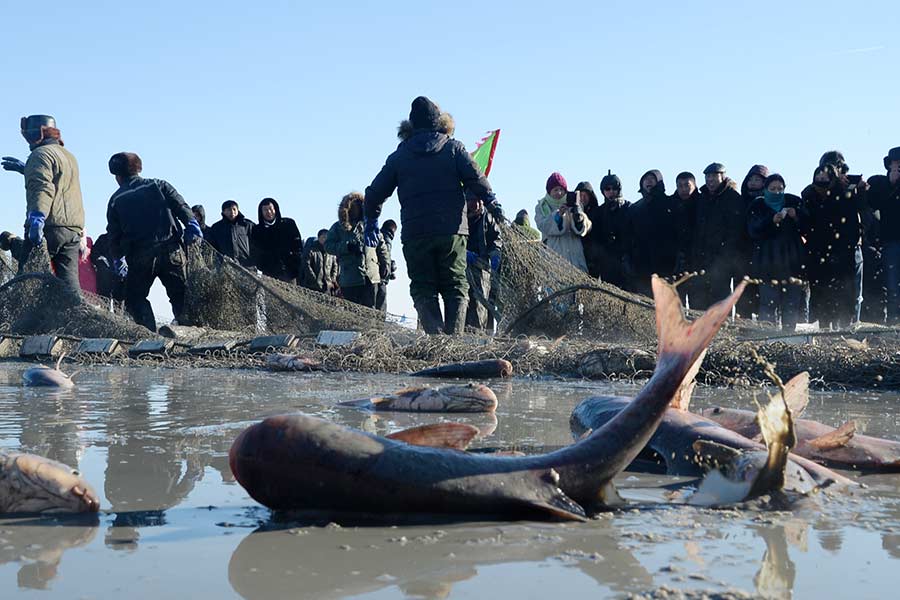 Traditional ice fishing techniques on display in Jilin province