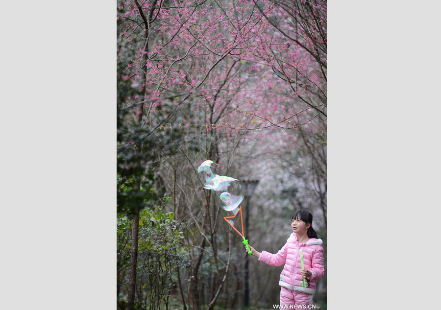 Trees blossom across China as temperature rises