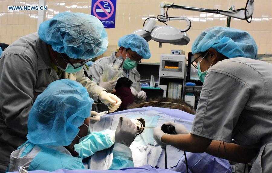 Giant panda receives artificial insemination in Taiwan