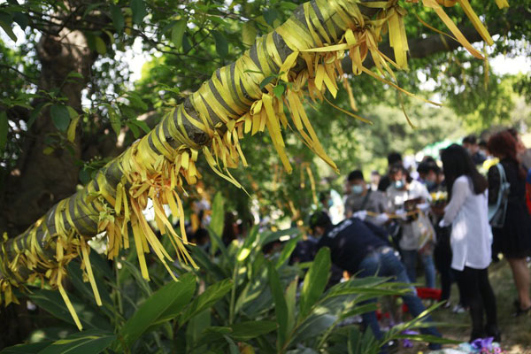 Beijing promotes eco-friendly burials ahead of Tomb-Sweeping Day