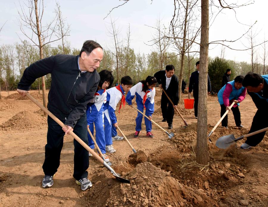 Top Chinese leaders attend voluntary tree-planting in Beijing