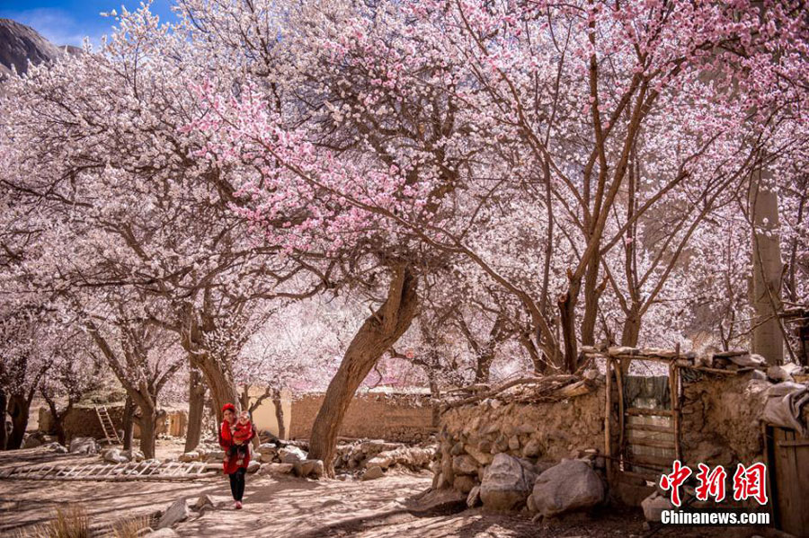 Hidden paradise found in remote NW China