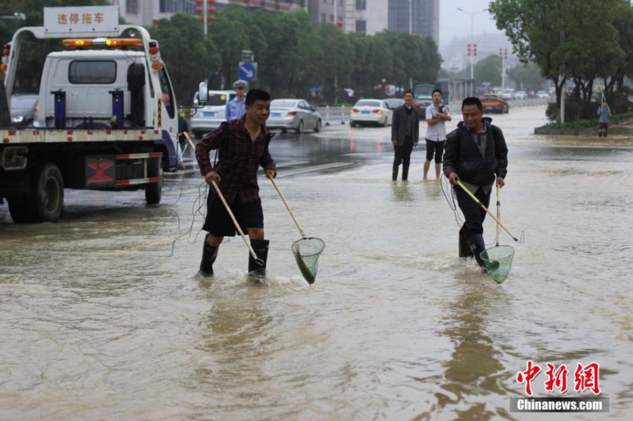 Residents net fish on flooded road in C China