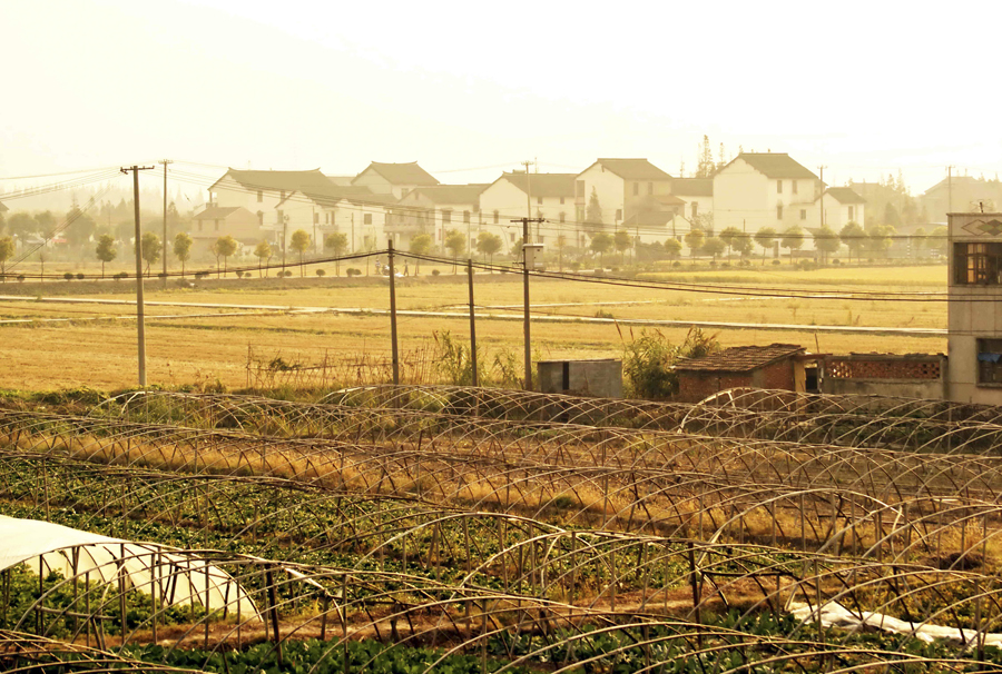 Now and then: How the Shanghai Disney Resort was built from nothing