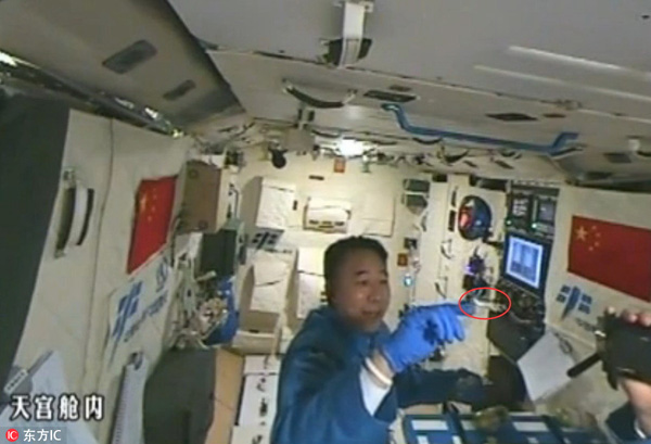 Astronaut plays with silkworms in Tiangong II