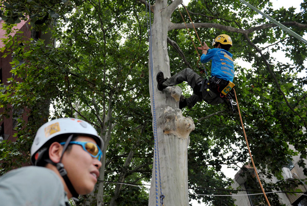 Northwest University introduces tree-climbing course