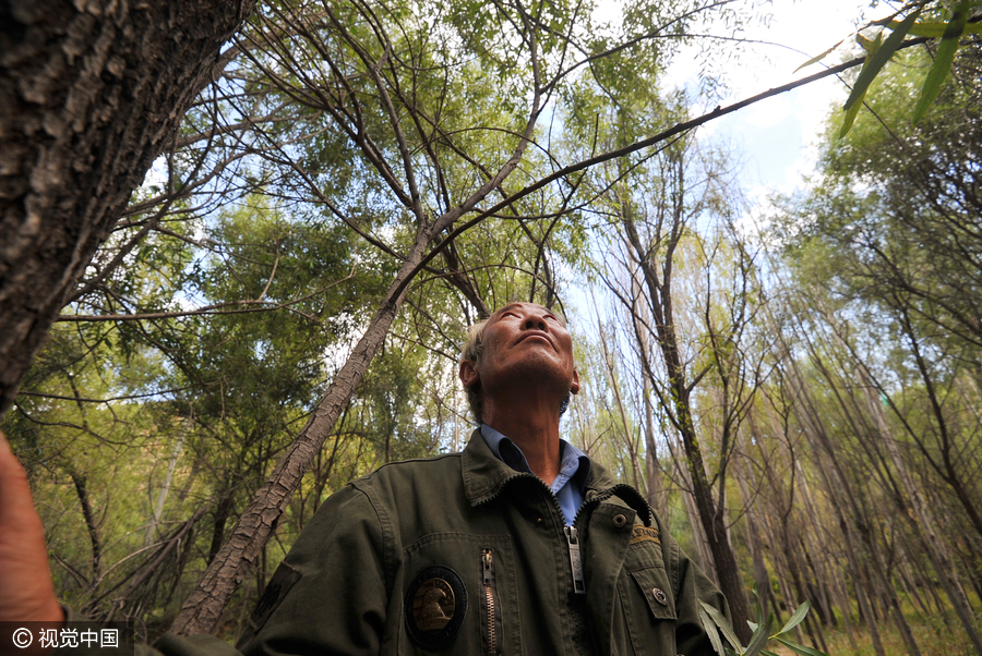 Man plants 500,000 trees over 26 years