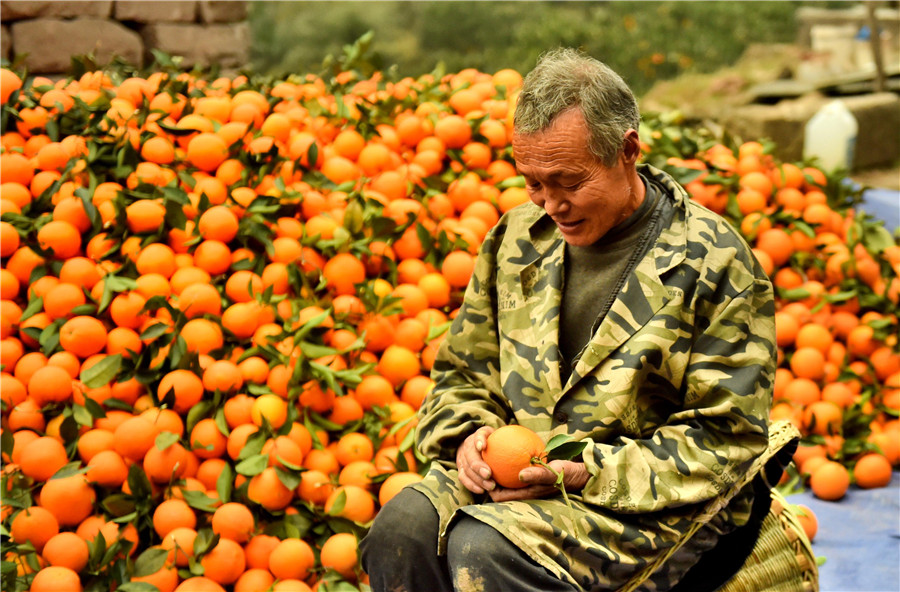 Cableway brings hope to orange farmers