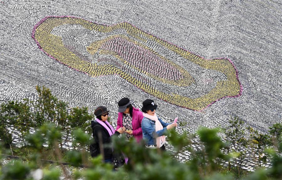 Giant mosaic made of 3m recycled discs in Taiwan