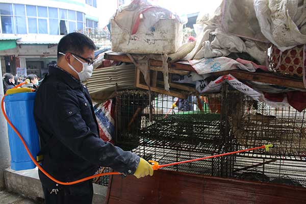 H7N9 virus might become drug-resistant