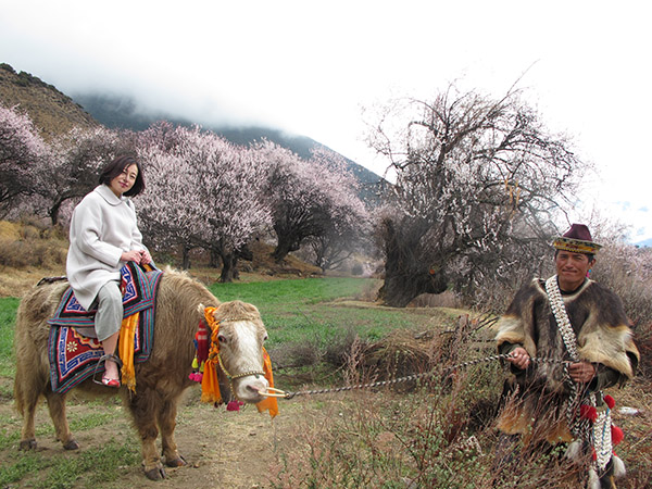 Boosting Tibetan village's economy through peach flower fest