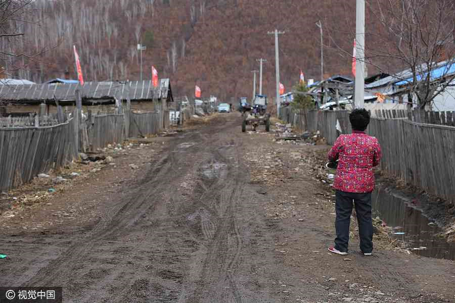 Population in a village drops to 18 in NE China