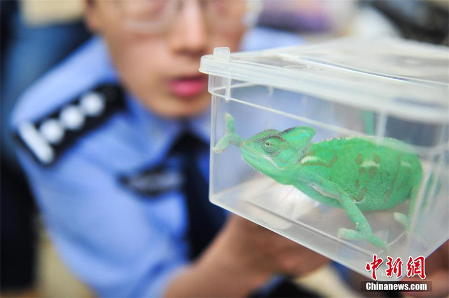 Police crack down on illegal online animal trade