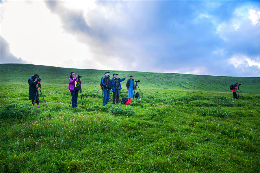 Get away from the summer heat at Heye Meadow