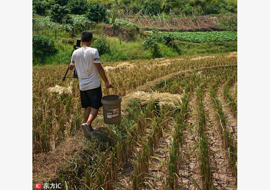 Farmer makes a fortune by broadcasting village life