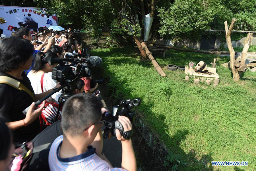 Panda Xinxing's 35th birthday celebrated at Chongqing Zoo