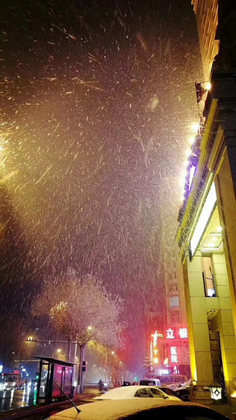 Snowfall turns Heilongjiang cities beautiful