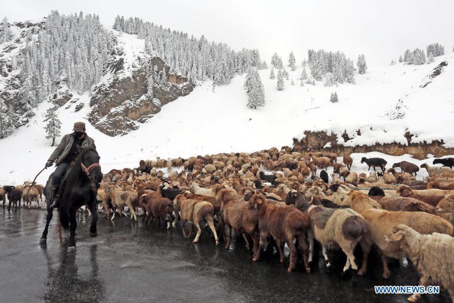 NW China's Hami witnesses 1st snowfall this autumn