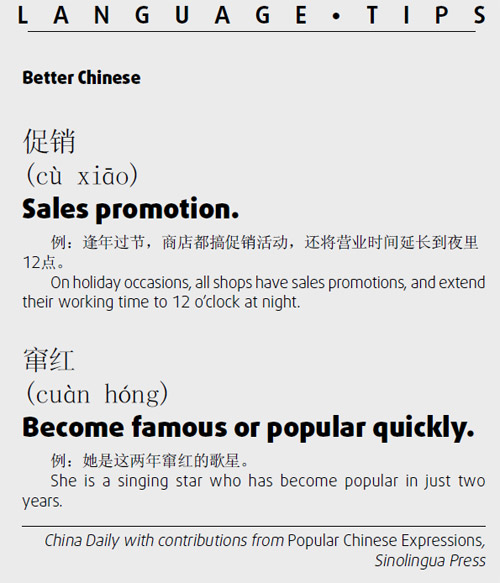 促銷　Sales promotion (cu xiao)