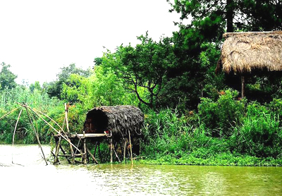 Xixi National Wetland Park