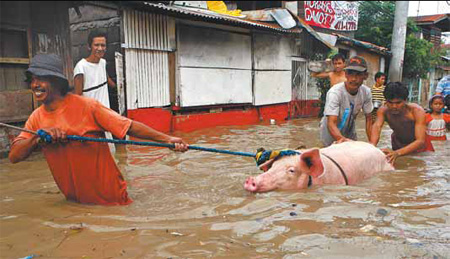 Dozens dead as typhoon slams Vietnam