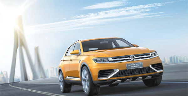 VW: Major force as fledgling market matures