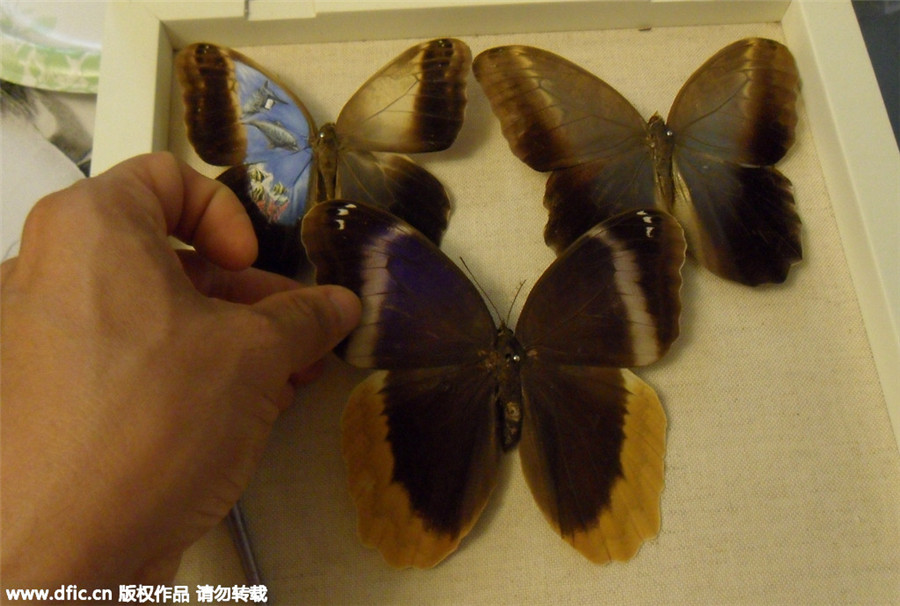 Painter uses butterfly wings as canvases