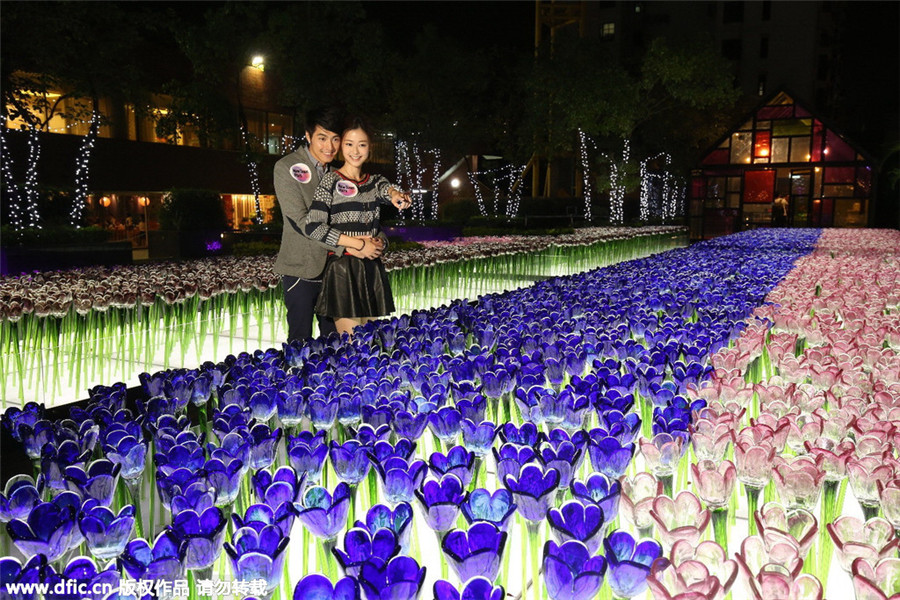 Hong Kong's glass garden opens to public