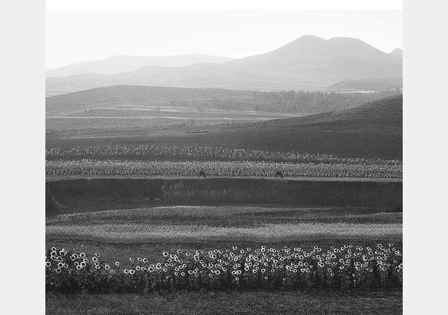 Amazing landscapes of China in white and black