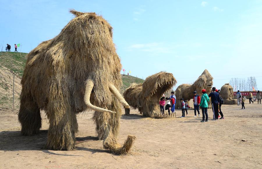 Straw arts festival marked in Shandong