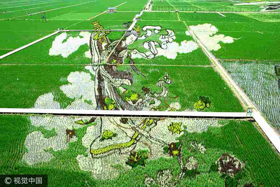 Paddy field in Shenyang transformed into art