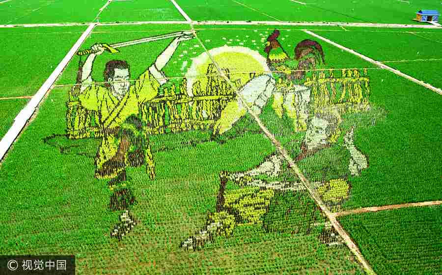 Paddy field in Shenyang transformed into art