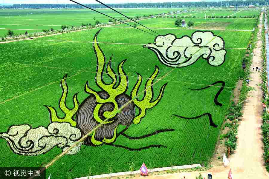 Paddy field in Shenyang transformed into art