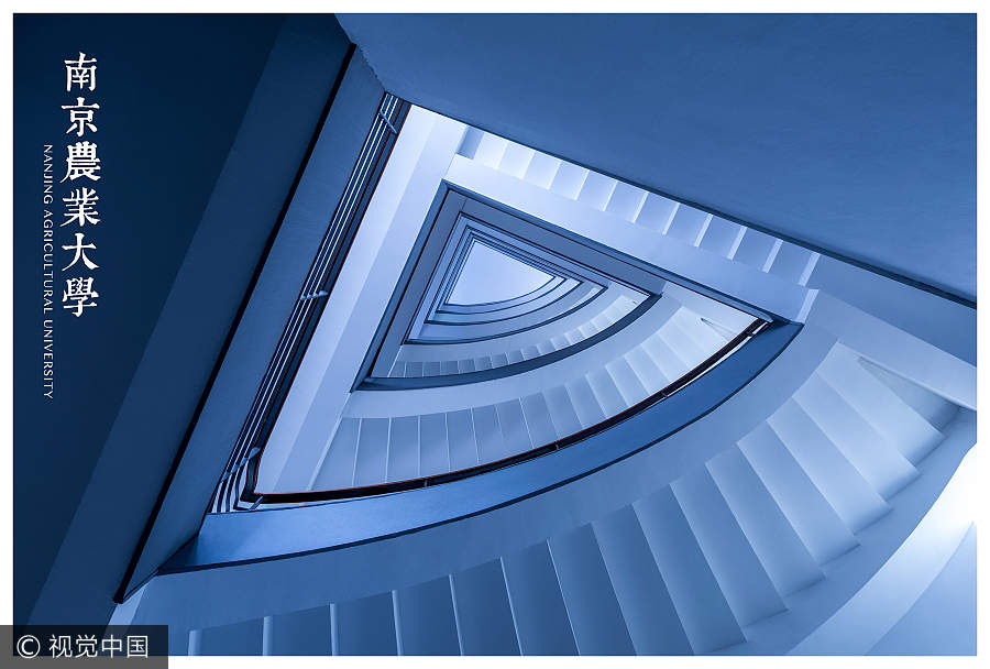 Student captures beautiful spiral stairways in Nanjing colleges