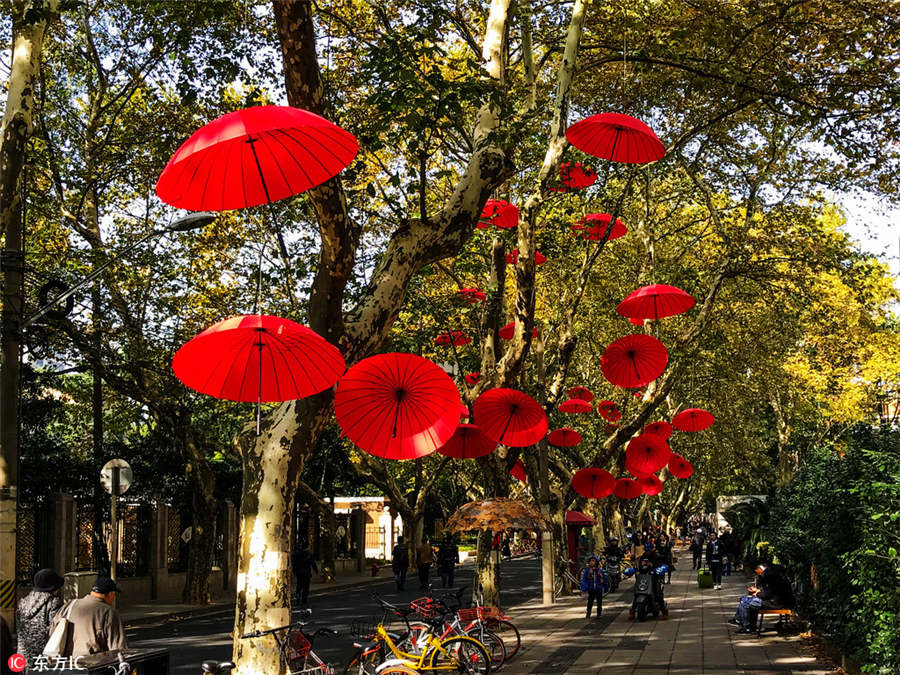 Shanghai stages street art exhibition on fallen leaves