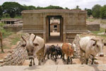 Terracotta Warriors cry out for clean air