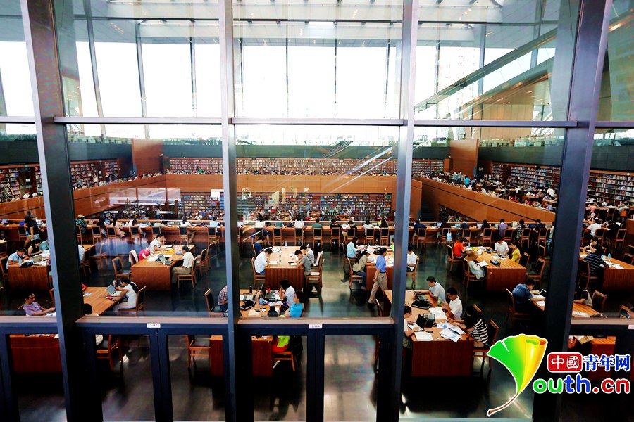 Reading in National Library over summer