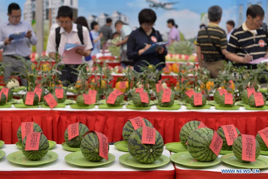 27th Daxing Watermelon Festival held in Beijing