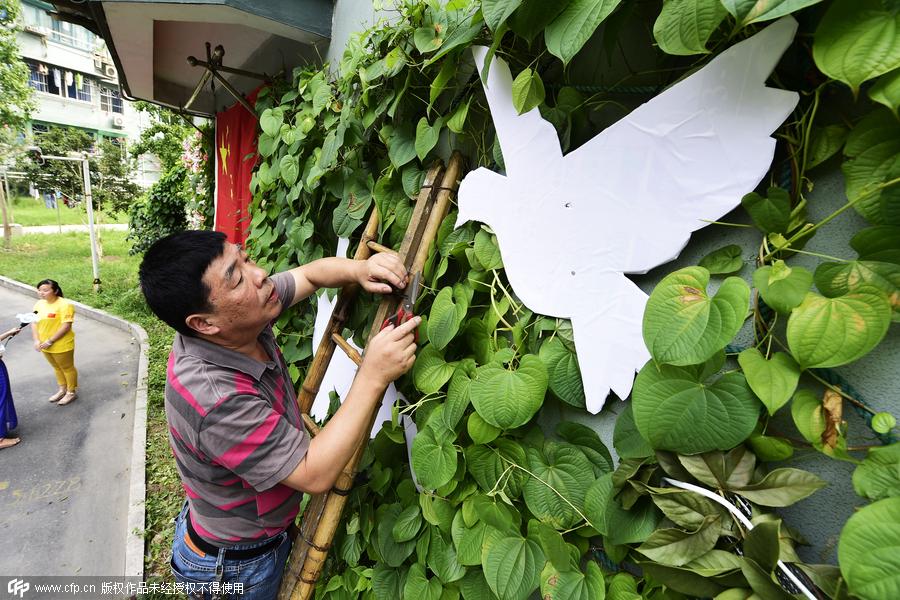 'Victory wall' of vines commemorates War of Resistance