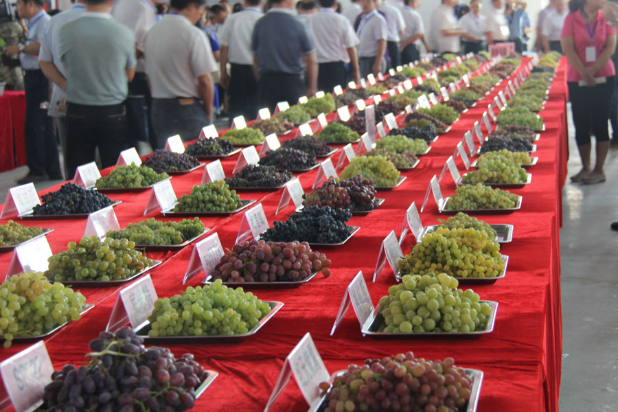 Grape festival kicks off in Turpan