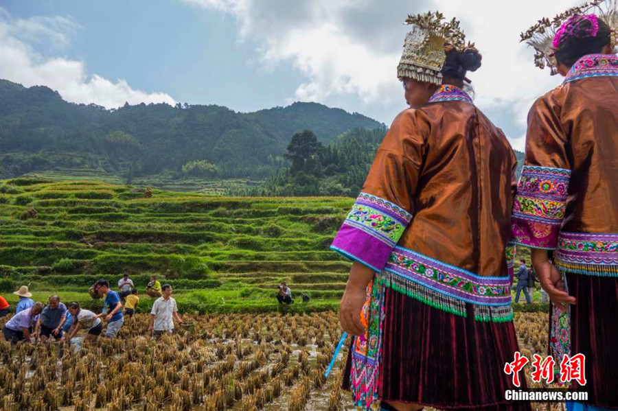 Miao people celebrate traditional 'grilling fish' festival