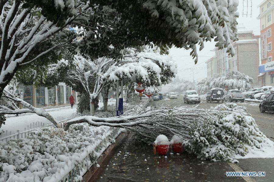 Heavy snow hits Kazak Autonomous County