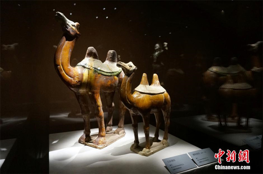 Tang Dynasty tri-colored glazed pottery exhibited in Henan